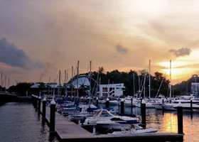 哪里有卖手机版ddos攻击器