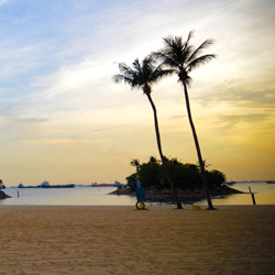 DDOS在线压力测试