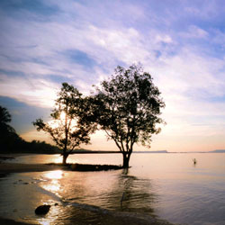 免费ddos在线攻击测试网站